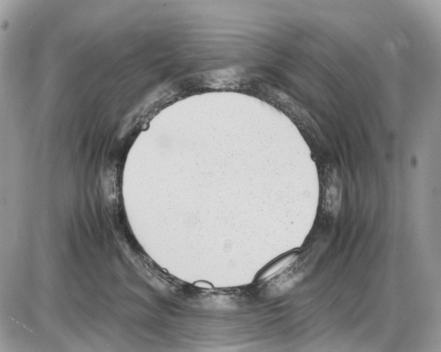 X0000086110620200704202307