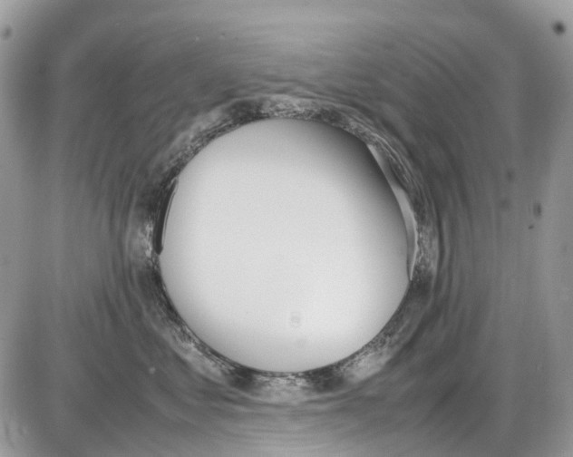 X0000086110621200704202307