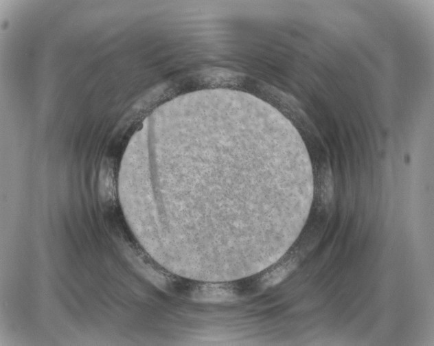 X0000086110622200704202307