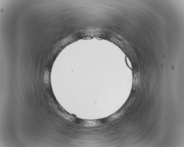 X0000086110623200704202307