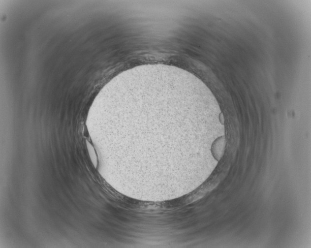 X0000086110624200704202307