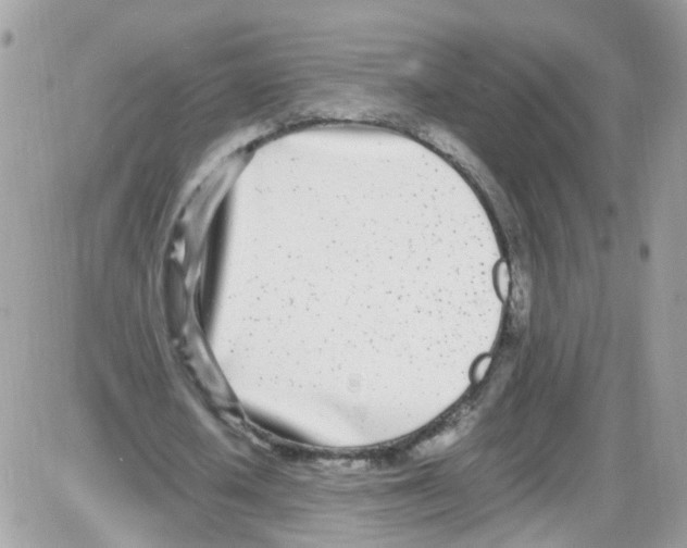 X0000086110626200704202306