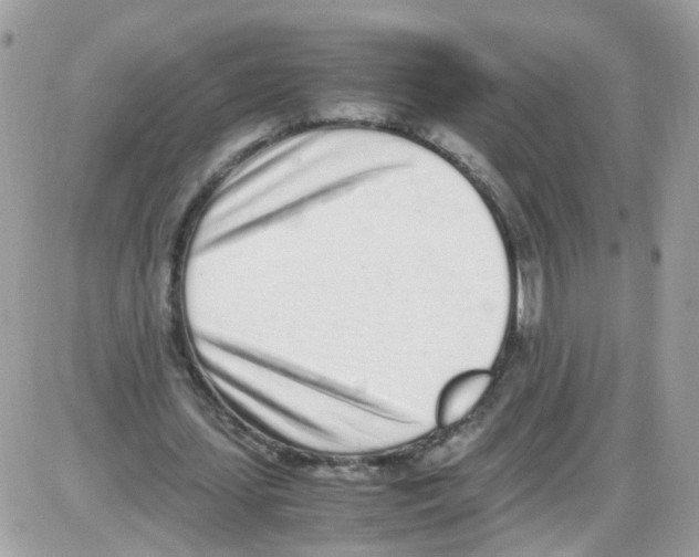 X0000086110627200704202306