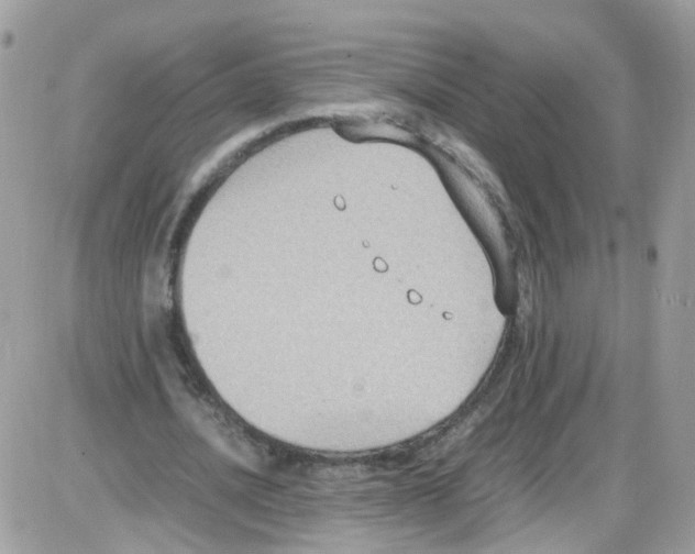 X0000086110628200704202306