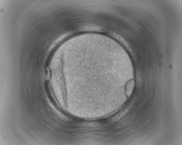 X0000086110629200704202306