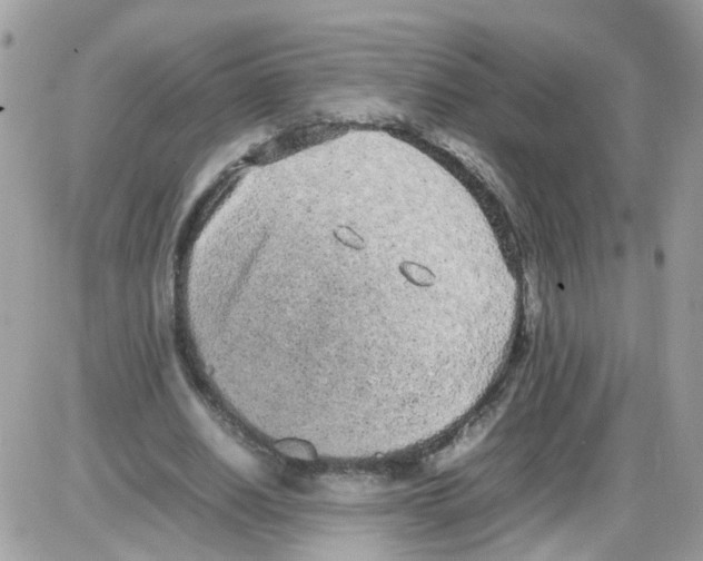 X0000086110630200704202306