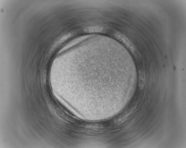 X0000086110631200704202306