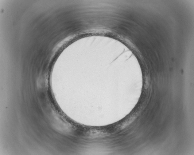 X0000086110632200704202306