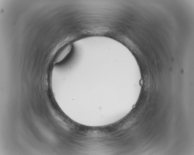 X0000086110634200704202307