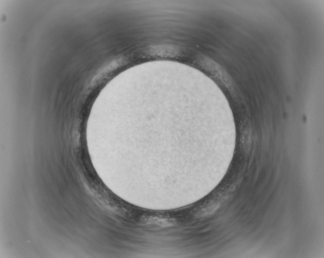 X0000086110635200704202307