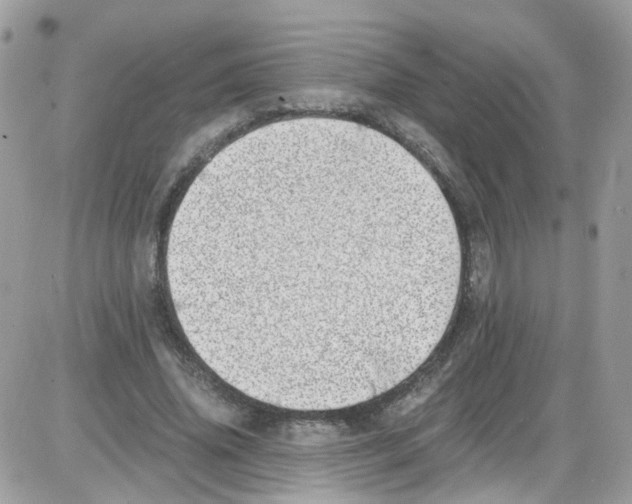 X0000086110636200704202307