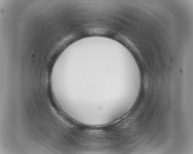 X0000086110637200704202307