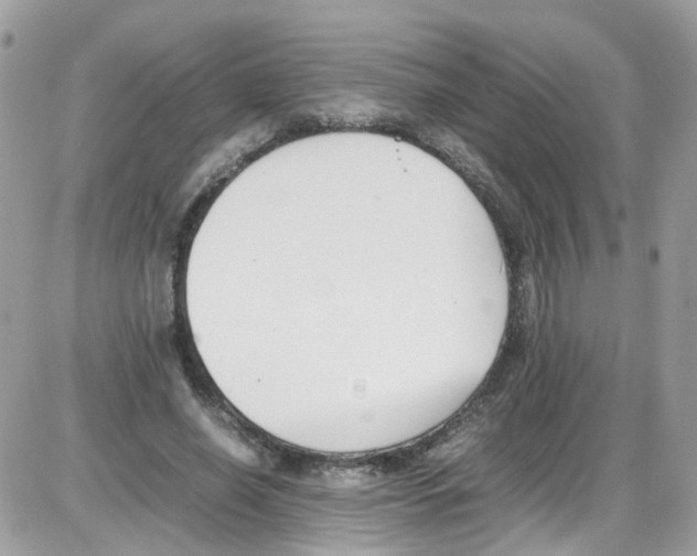 X0000086110638200704202307