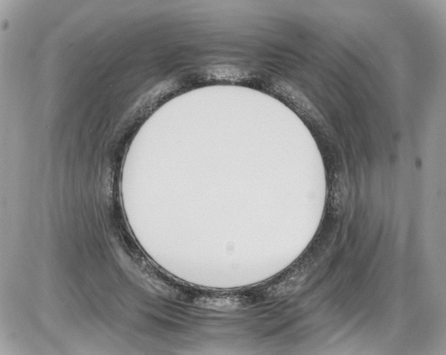 X0000086110639200704202307