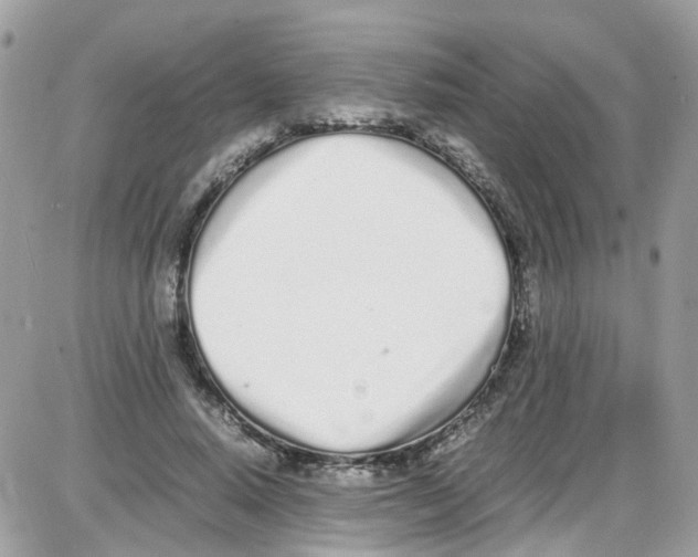 X0000086110640200704202307