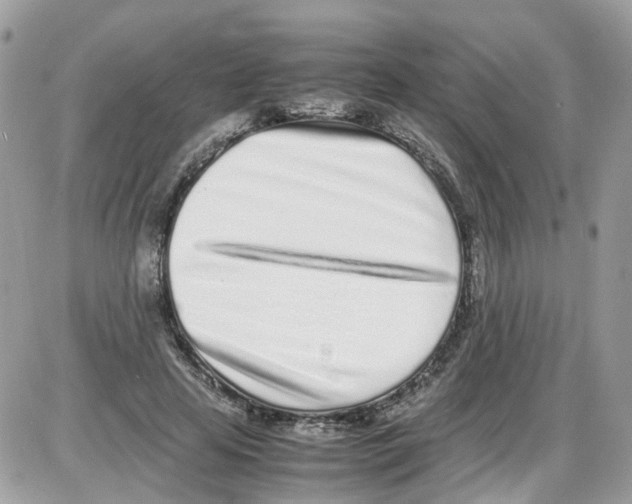 X0000086110641200704202307