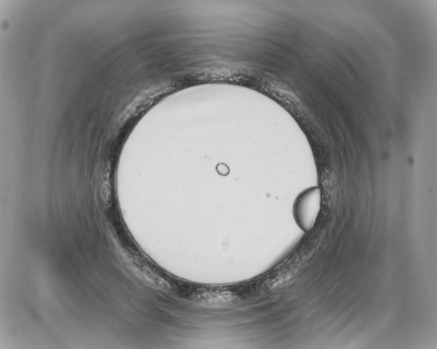 X0000086110642200704202307