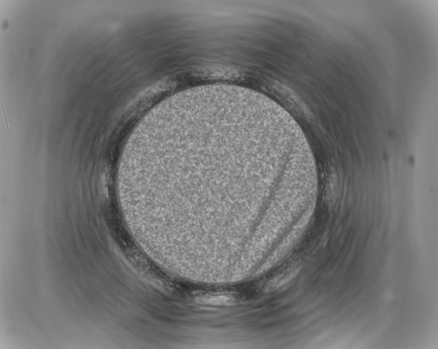 X0000086110643200704202307