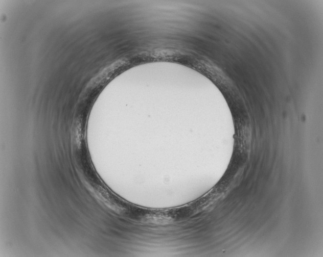 X0000086110644200704202307