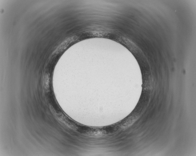 X0000086110646200704202307