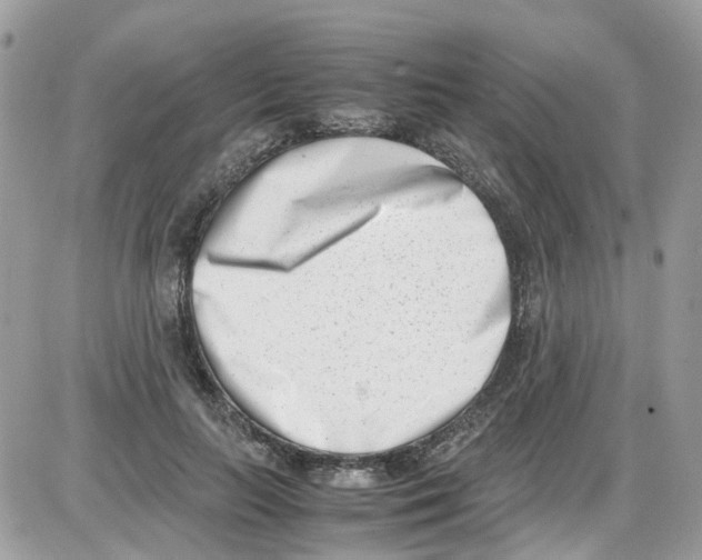 X0000086110647200704202307