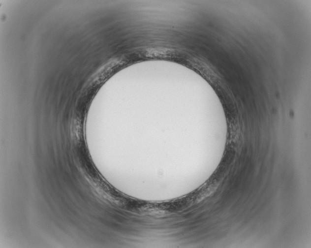 X0000086110648200704202307