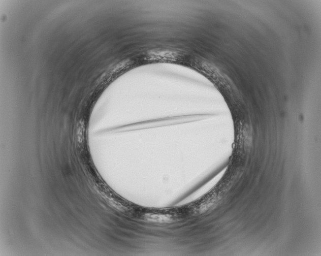 X0000086110649200704202307