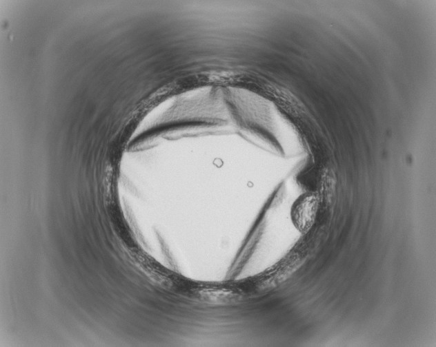 X0000086110650200704202307