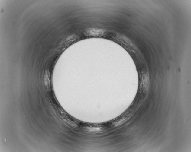 X0000086110651200704202307