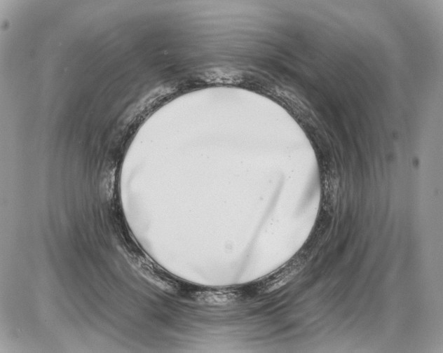 X0000086110652200704202307