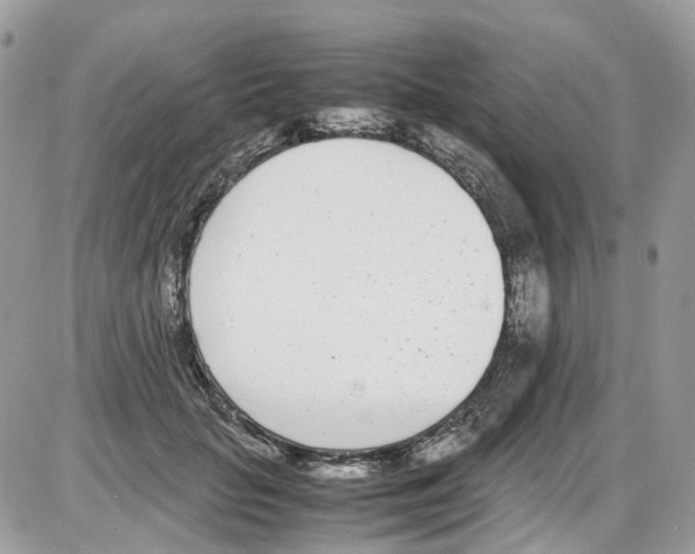 X0000086110653200704202307