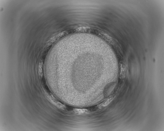 X0000086110654200704202307