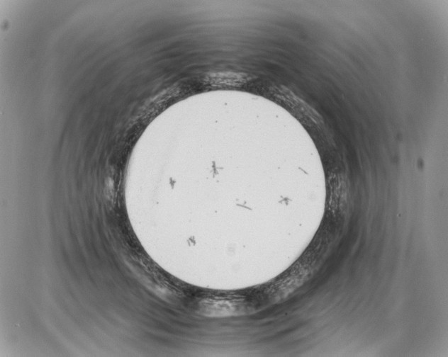 X0000086110655200704202307