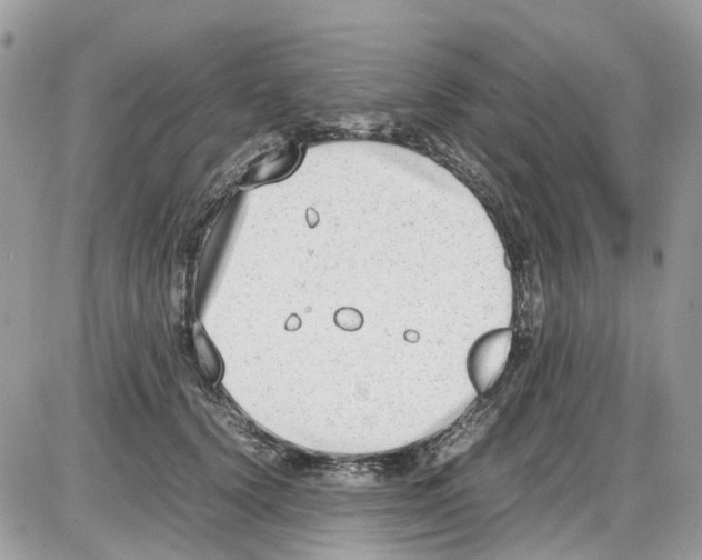 X0000086110656200704202307