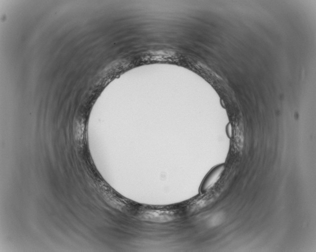 X0000086110657200704202307