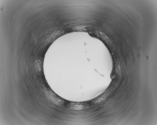 X0000086110658200704202307