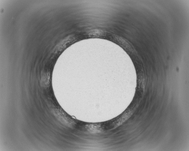 X0000086110660200704202307