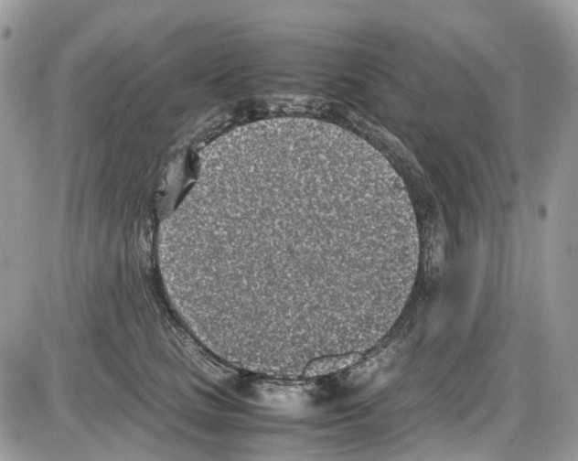 X0000086110661200704202307