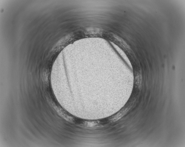 X0000086110662200704202307