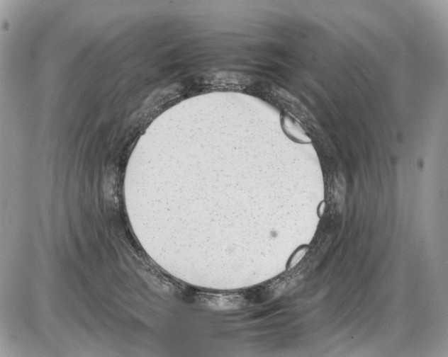 X0000086110663200704202307