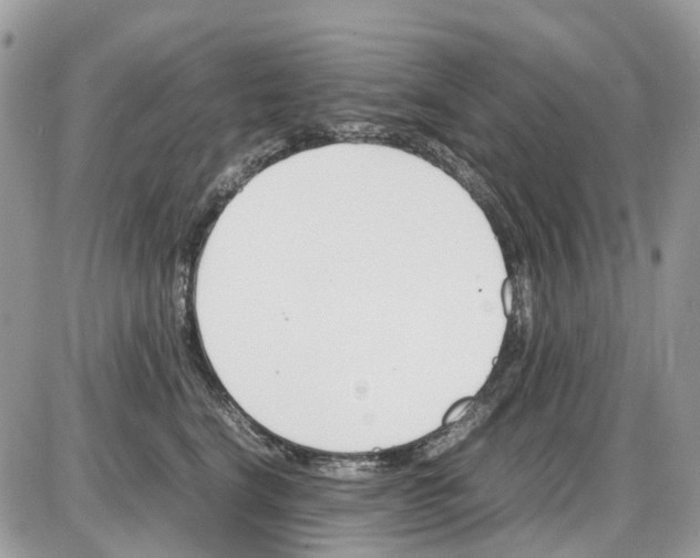 X0000086110664200704202307