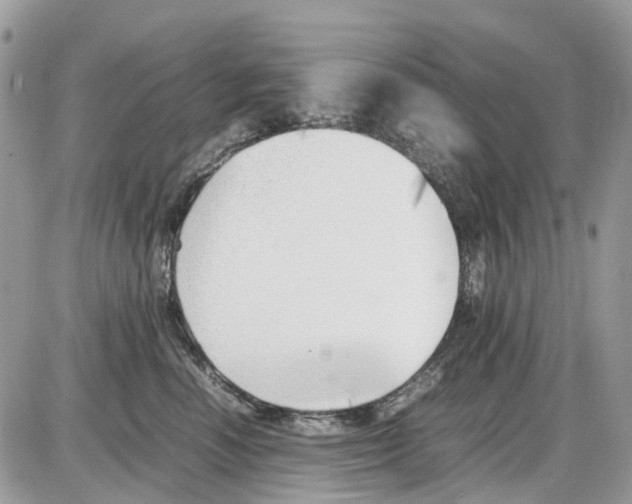 X0000086110666200704202307