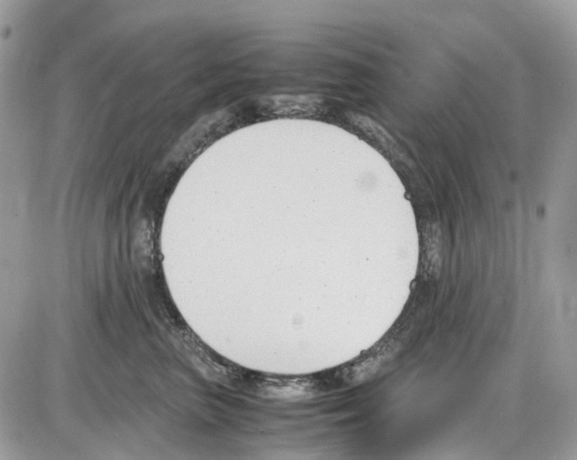 X0000086110667200704202307