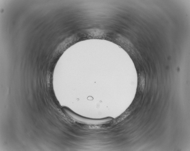 X0000086110668200704202307