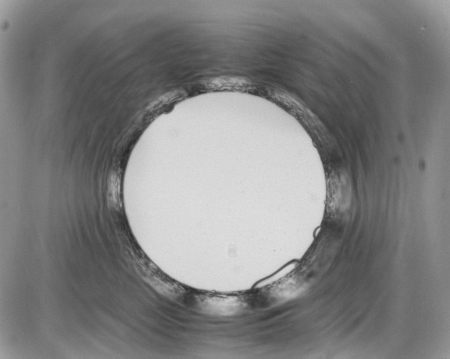 X0000086110669200704202307