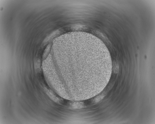 X0000086110670200704202307