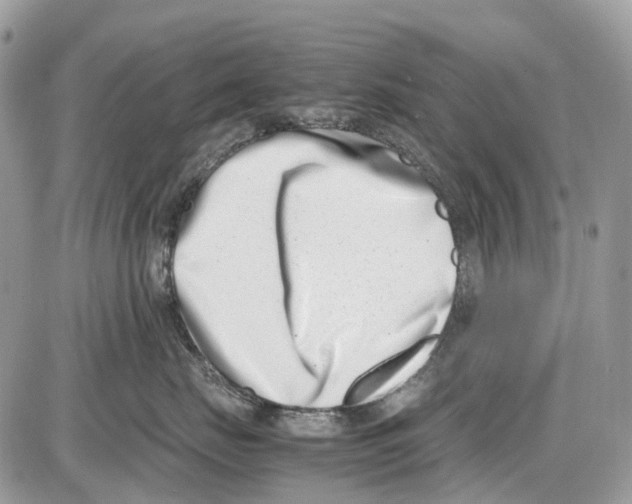 X0000086110671200704202307