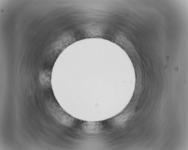 X0000086110672200704202307