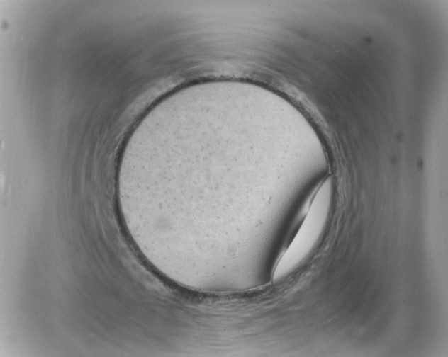 X0000086110673200704202306