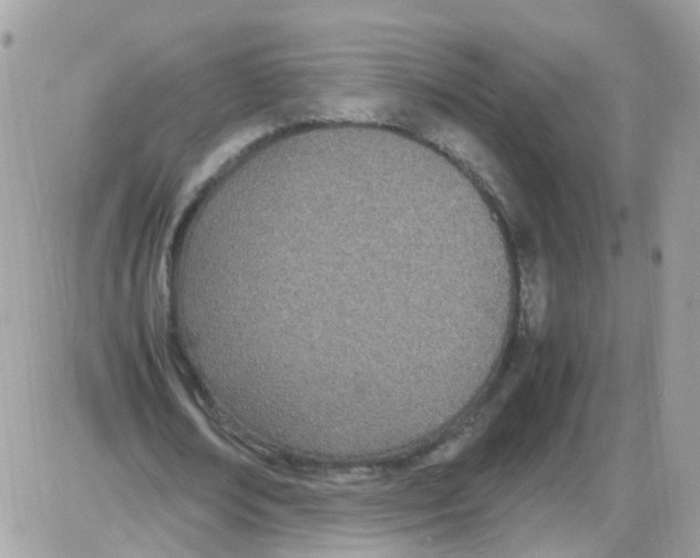 X0000086110674200704202306